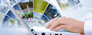 Career Navigation